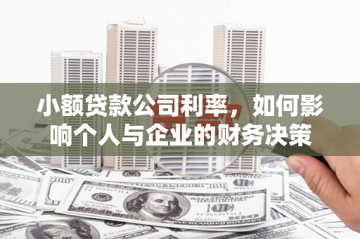 洞头小额贷款公司利率，如何影响个人与企业的财务决策