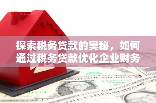 宣城探索税务贷款的奥秘，如何通过税务贷款优化企业财务