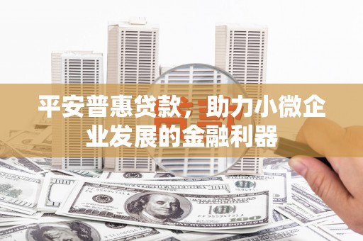 海淀平安普惠贷款，助力小微企业发展的金融利器