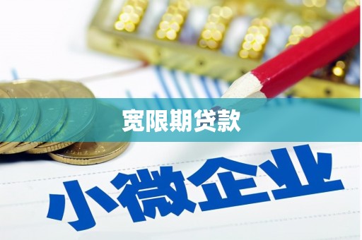 瑞穗宽限期贷款