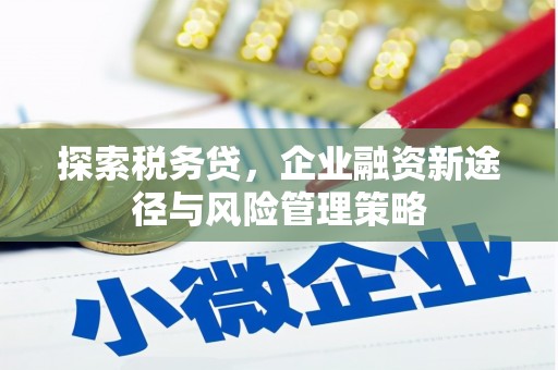 民勤探索税务贷，企业融资新途径与风险管理策略