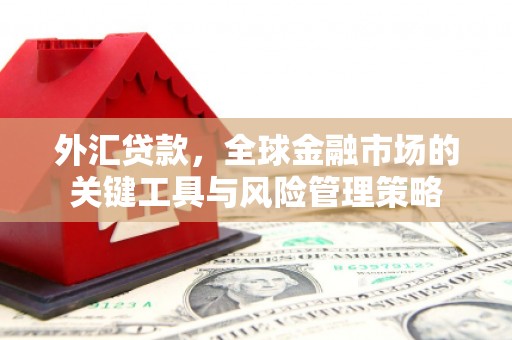 萧山外汇贷款，全球金融市场的关键工具与风险管理策略