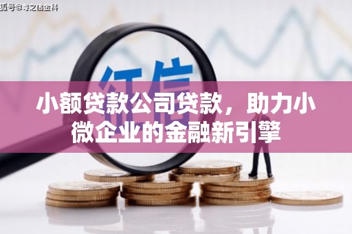 铁力小额贷款公司贷款，助力小微企业的金融新引擎