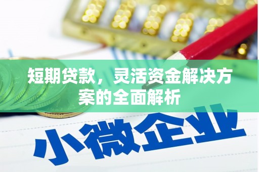 泾河短期贷款，灵活资金解决方案的全面解析