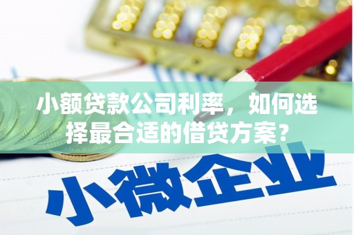 秦淮小额贷款公司利率，如何选择最合适的借贷方案？