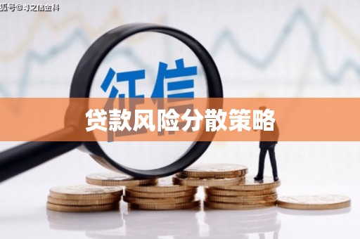 海安贷款风险分散策略
