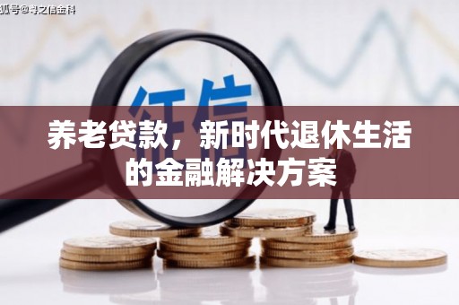 埌东养老贷款，新时代退休生活的金融解决方案