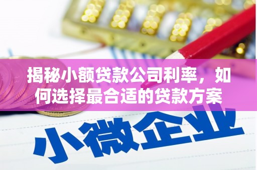 镇巴揭秘小额贷款公司利率，如何选择最合适的贷款方案