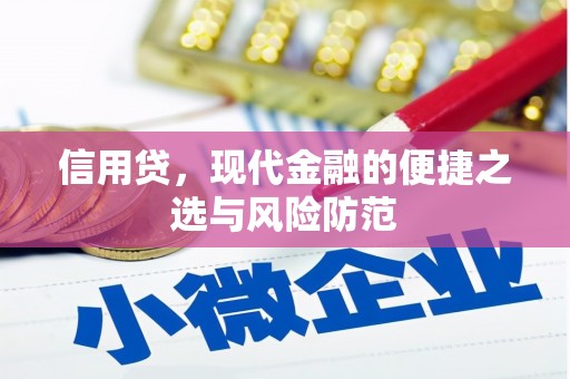 海曙信用贷，现代金融的便捷之选与风险防范