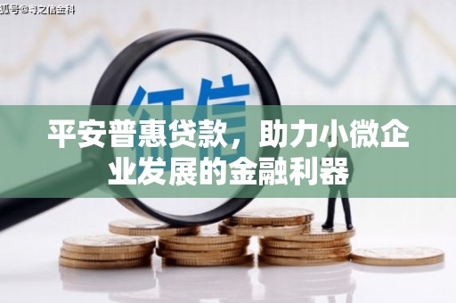 龙城平安普惠贷款，助力小微企业发展的金融利器