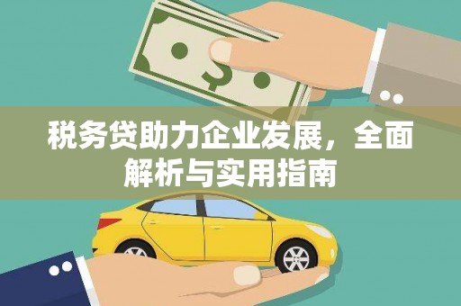 湟源税务贷助力企业发展，全面解析与实用指南
