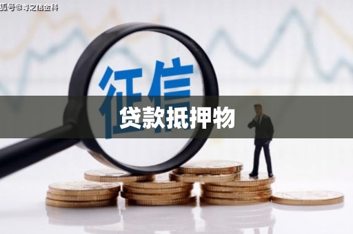 三湾贷款抵押物