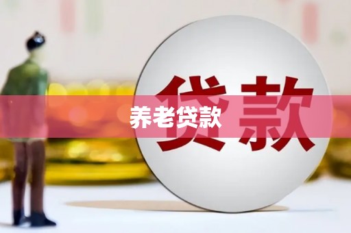 库车养老贷款
