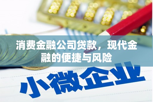 威宁消费金融公司贷款，现代金融的便捷与风险