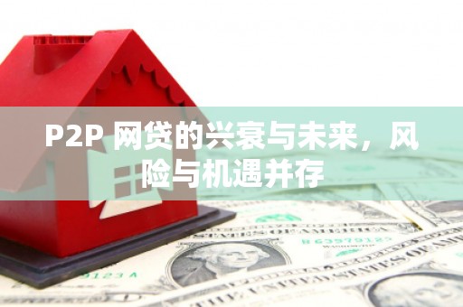 青龙P2P 网贷的兴衰与未来，风险与机遇并存