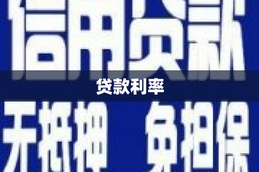 新营贷款利率