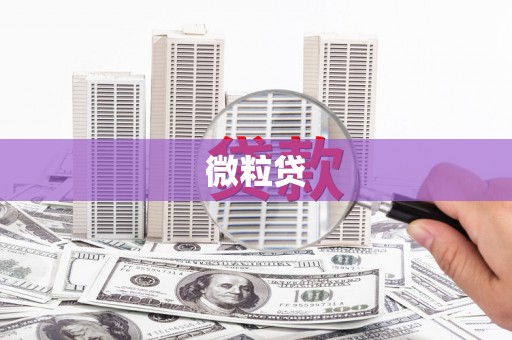 惠东微粒贷