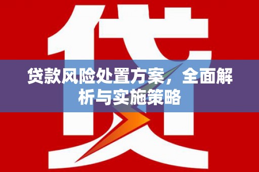 贞丰贷款风险处置方案，全面解析与实施策略