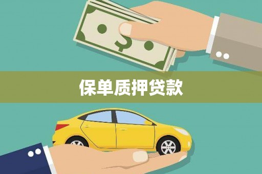 头份保单质押贷款