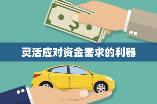 苍溪灵活应对资金需求的利器