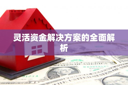六枝灵活资金解决方案的全面解析